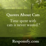 Top Adorable Inspirational Quotes About Cats In 2025