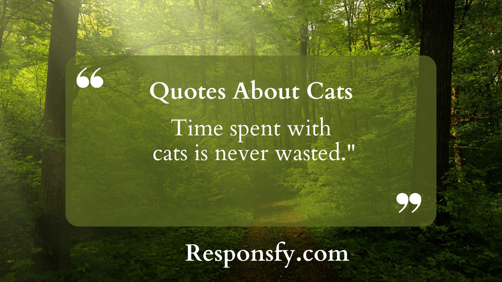 Read more about the article Top Adorable Inspirational Quotes About Cats In 2025